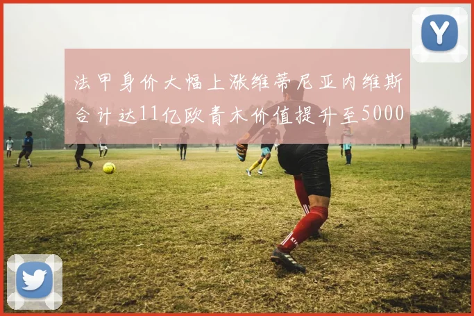 法甲身价大幅上涨维蒂尼亚内维斯合计达11亿欧青木价值提升至5000万